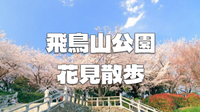 【見頃】江戸時代から続く花見の名所「飛鳥山」を散策！王子の展望台も楽しもう！