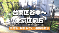 台東区谷中から文京区向丘の裏路地や史跡を歩いてみよう！