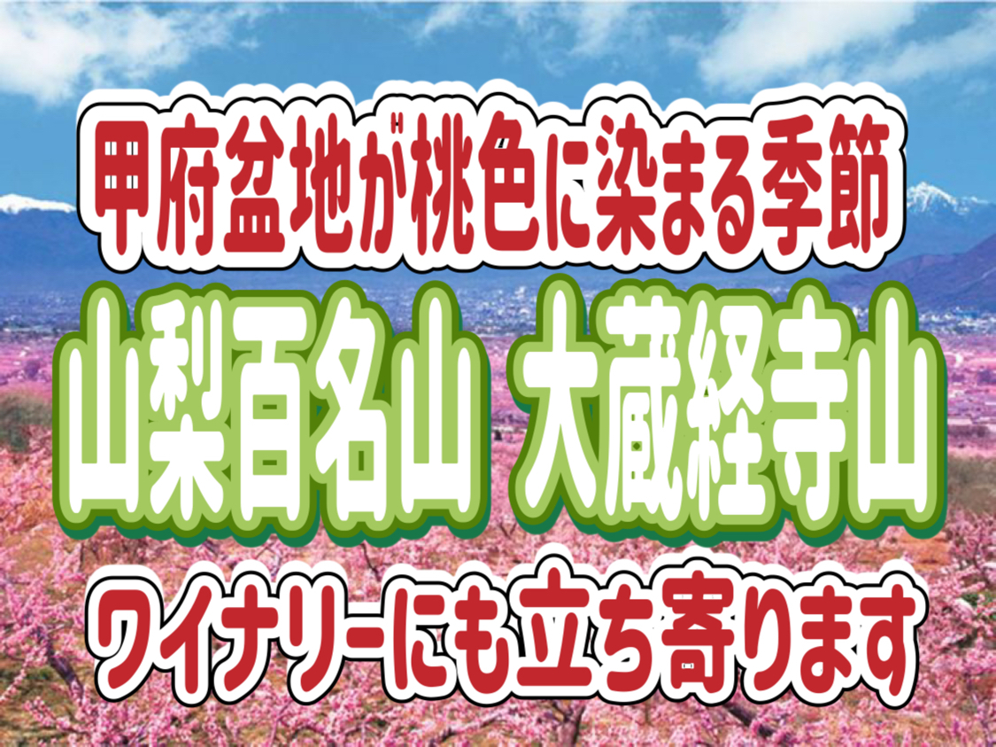 4/12 【軽めの登山】甲府盆地が桃色に染まります◎桃源郷で桃の花を見ながら登山・ワイナリー見学を楽しもう！