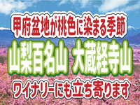 4/12 【軽めの登山】甲府盆地が桃色に染まります◎桃源郷で桃の花を見ながら登山・ワイナリー見学を楽しもう！