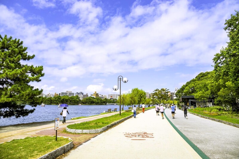 フリーランスのウォーキング会🚶‍♀️平日午前中大濠公園🏞️