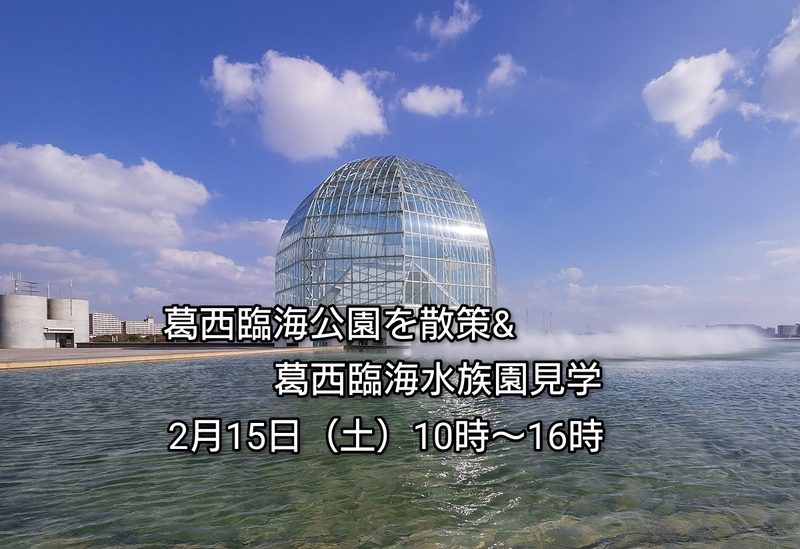 【30代中盤〜40代中心】葛西臨海公園を散策&葛西臨海水族園見学