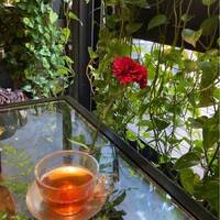 【男女共催】映え抜群のフラワーカフェに行こう🍩🍩🍩