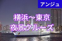 ≪30代40代≫東京湾ナイトクルーズ✨横浜大さん橋→東京竹芝桟橋✨