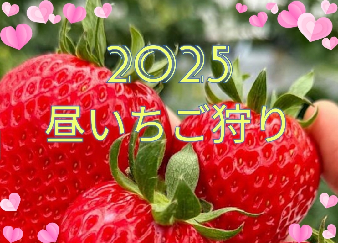 【40〜50代】🍓昼いちご狩り🍓