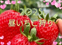 【40〜50代】🍓昼いちご狩り🍓