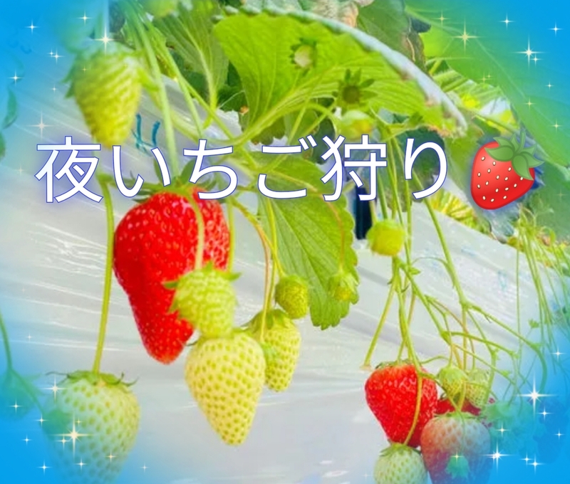 【40〜50代】夜いちご狩り🍓デザートは先に食べる派(⁠◠⁠‿⁠◕⁠)