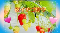【40〜50代】夜いちご狩り🍓(⁠◠⁠‿⁠◕⁠)