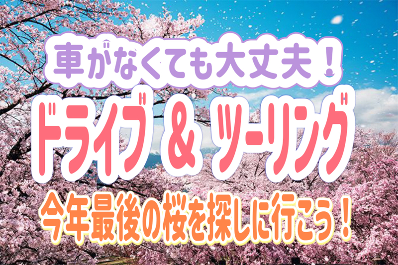 4/20 【ドライブ/ツーリング】今年最後の桜を探しに行こう！宝川温泉で入浴付き！