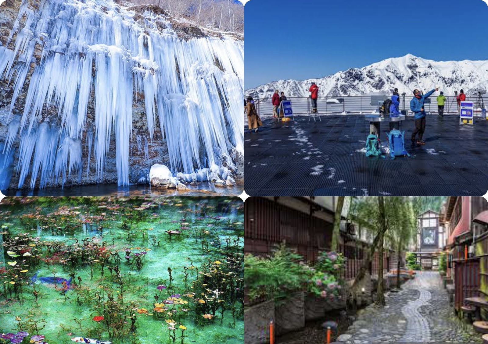 変更　岐阜長野の雪景色＆観光＠旅行仲間募集　　　　