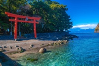 【男性大歓迎 】河津桜🌸＆雪景色☃️＆山中湖スカイランタン＆キャンドル