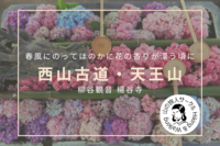 【西山天王山登山】古道ハイキング