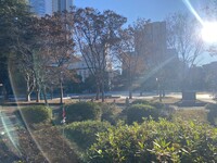 【日比谷公園】朝さんぽ と カフェトーク🚶🏻