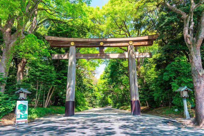 日本の伝統を知ろう『一日参り⛩️』@明治神宮