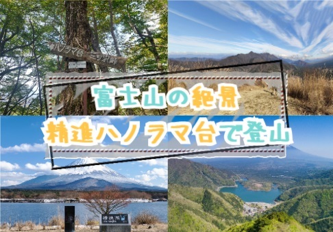 【20-30代 一部40代もOK】富士山と精進湖の絶景のパノラマ台で登山