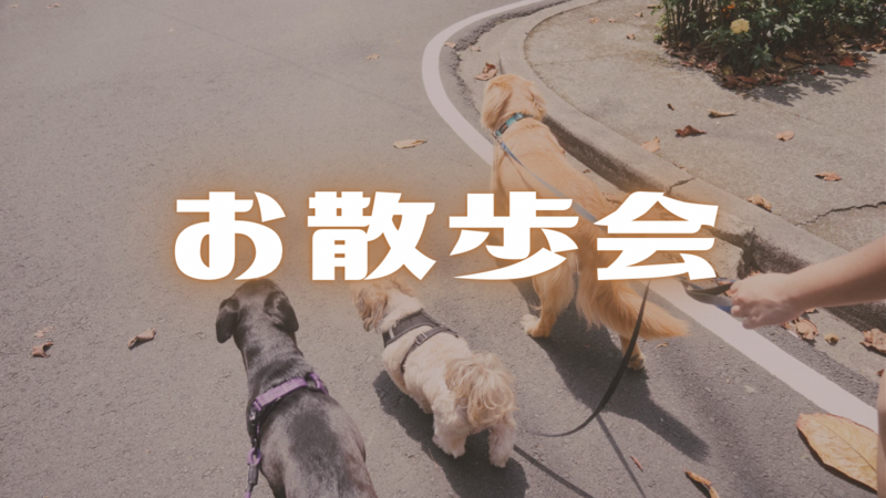 【上野公園】愛犬と一緒にお散歩しよう🐾