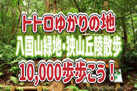 3/23【一万歩歩こう！】トトロゆかりの地_ハ国山緑地、狭山丘陵を散策してみよう〜