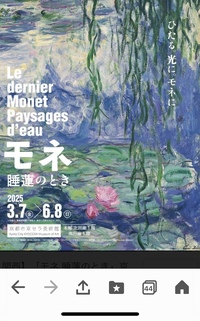 【満員】京セラ美術館にモネの作品みにいきませか🖼️&カフェ会☕️