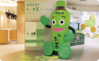 おーいお茶ミュージアムに行ってみよう🍵✨