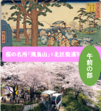 【再企画　午前の部】飛鳥山の桜+北区街巡りをしよう（説明・解説有）