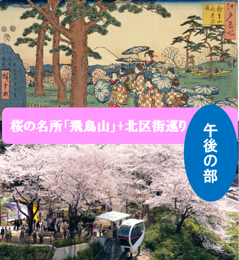 【再企画の午後の部】飛鳥山の桜をメインに、北区街巡りをしよう