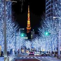 【20代限定🌃】六本木ヒルズけやき坂イルミネーションを散歩して、ご飯に行こう✨