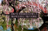 【亀戸駅集合】菅原道真公の梅を愛でる旅と楽しい飲み会🍻