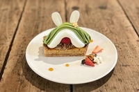 【女性2名主催/早割中】自家製スイーツのお店🐰🐰🌙💕でリール動画撮影＆カフェ会をしよう〜20代30代限定