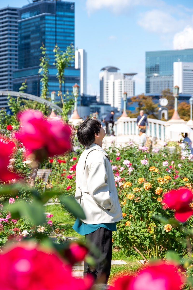 【中之島公園/20代】フォトウォークしてみませんか？🌹📸