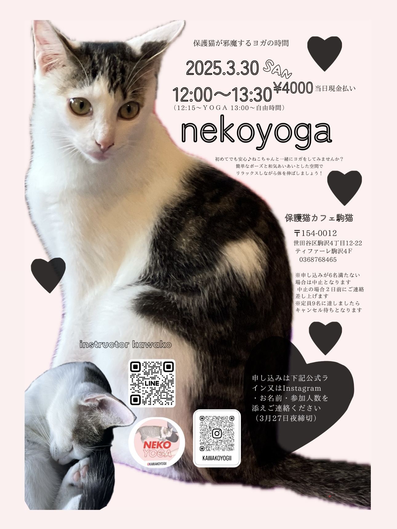 ねこよが　3月30日日曜　12時から♡