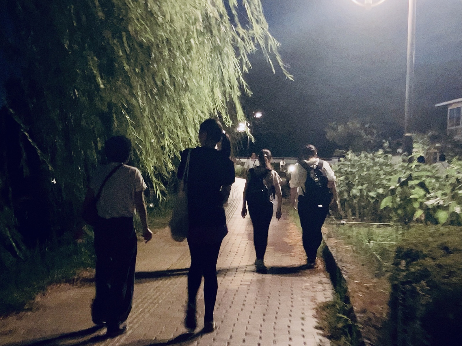 2/6(木)🔰 20:00～21:00アオハウォーキング🚶‍♂️