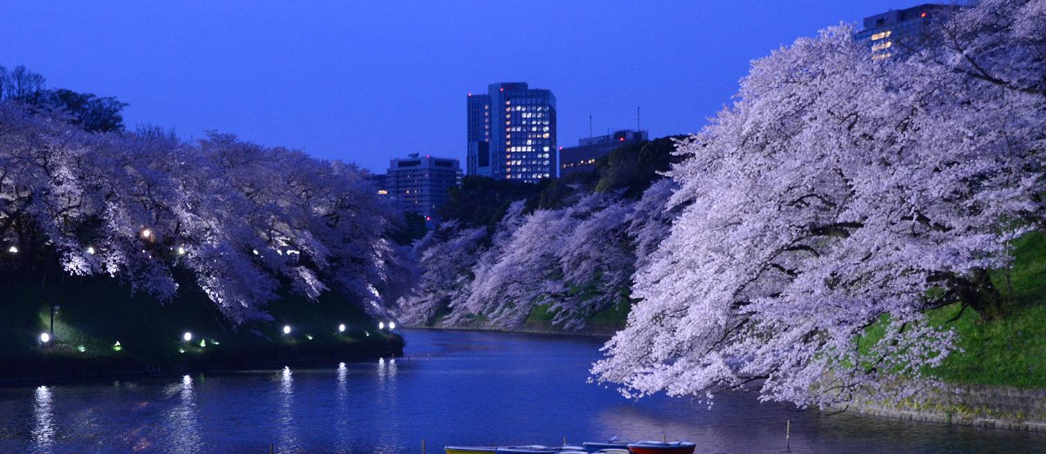 【女性主催】千鳥ヶ淵の夜桜を見に行こう🥐🍠🌕20代30代限定🌸🍭🌺
