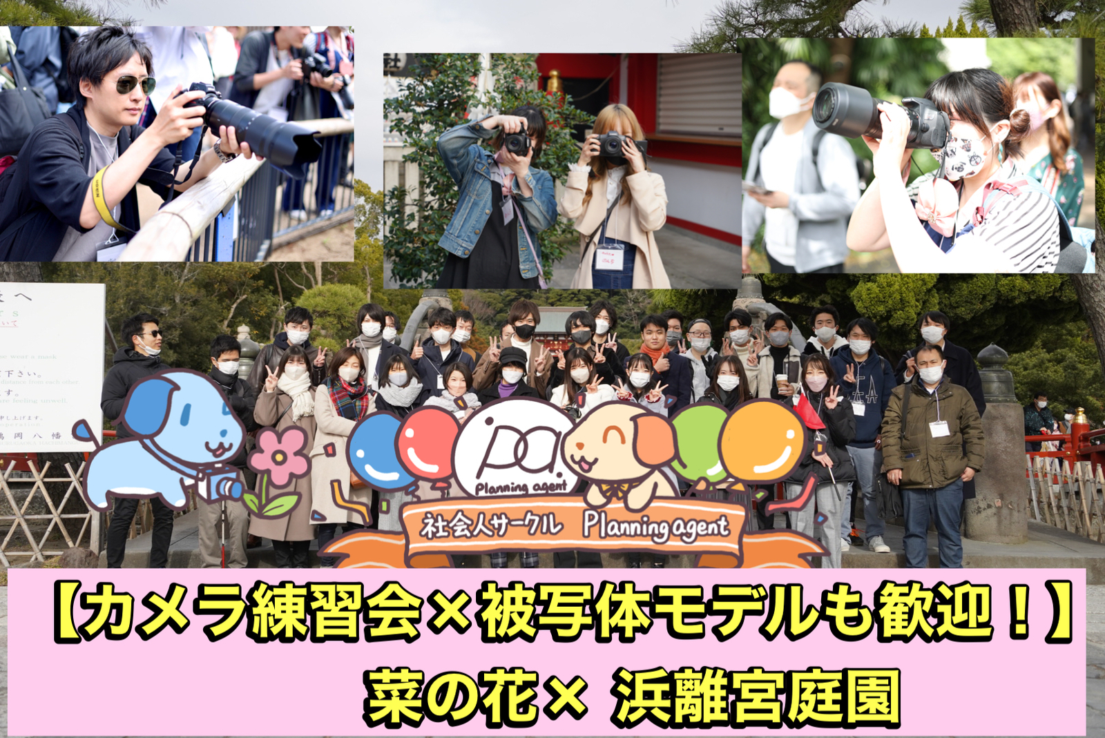 雨天のため中止【菜の花を撮ろう！】浜離宮庭園×被写体歓迎！:カメラがメインの企画