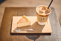 【早割中】代官山のこじんまりしたカフェに行こう！おすすめはチーズケーキです🌸🌸🌸