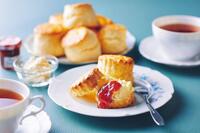 【20代　女子限定🤍】英国カフェでアフタヌーンティー🇬🇧