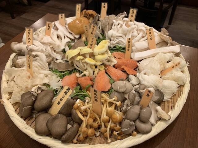 【20代30代限定】世にも奇妙なきのこ鍋を食べに行こう🦊🦊🦊