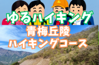 【ゆるハイキング】【初心者向け】4月5日（土）青梅丘陵ハイキングコース！新緑の山を歩くロングコース！