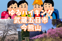 【ゆるハイキング】【初心者向け】4月19日（土）武蔵五日市・今熊山！ミツバツツジを見に行こう！