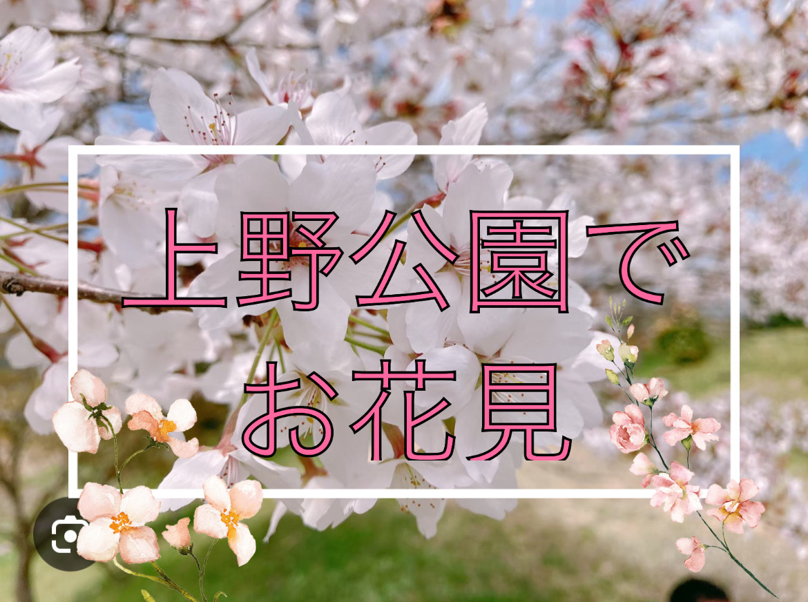 【花より団子🌸】上野公園楽しくお花見体験をしよう！