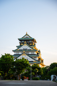 【大阪城梅林】フォトウォークしてみませんか？🌸📸