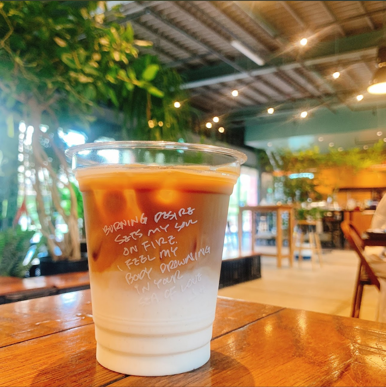 【緑と開放感☘️】20代でアメリカンなお洒落カフェへ😆☕️癒し時間を自分にプレゼント💝✨