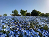 【30代中盤〜40代中心・参加費実質無料】舎人公園でピクニック&ネモフィラ見学　★有名サンドイッチ店のサンドイッチ付