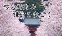 【１回目：桜と歴史を楽しもう】鎌倉スポット巡り2025（説明・解説付）