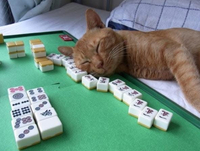 【🀄️火曜日はリグで麻雀交流会🏆】〜途中参加・退席可〜