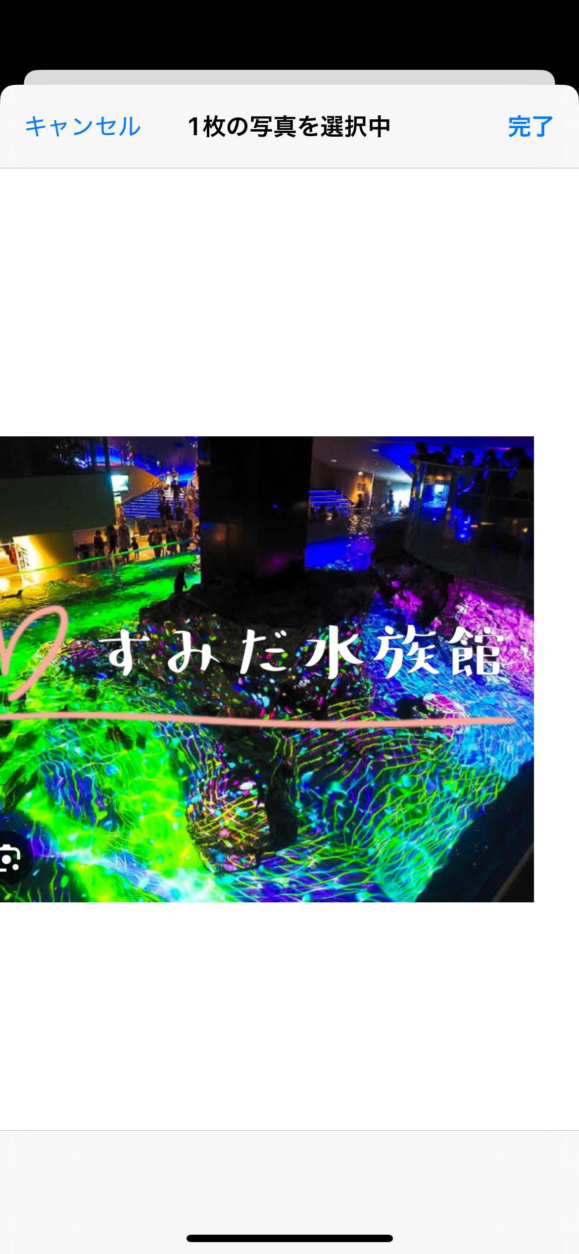 【ライトアップすみだ水族館】幻想的な夜の海の世界へようこそ🌊✨