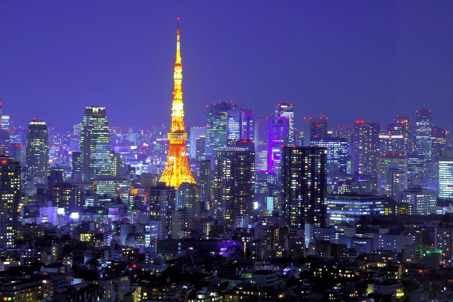 【20代30代限定】恵比寿夜景散策しよ〜🐈🐈🐈