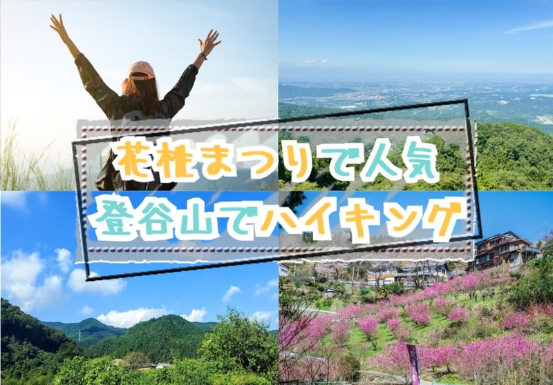 【20-30代 一部40代もOK】花桃まつりで人気の登谷山でハイキングを楽しもう！