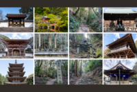 【世界遺産 醍醐寺 × 国際交流🌏】五大力さん「餅上げ力奉納」 & 上醍醐ハイキング✨