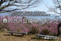 ぽかぽか春の日差しに誘われて、渋沢丘陵をあるくハイキングに出かけませんか？