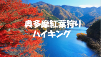 【奥多摩むかし道を歩く】絶景の紅葉と廃線を楽しみながら約4時間の難易度低め散策コースに挑戦しよう♪